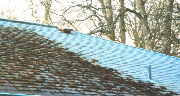 Before and after image of a roof that has been pressure washed.